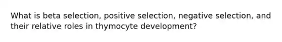 What is beta selection, positive selection, negative selection, and their relative roles in thymocyte development?