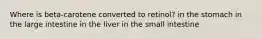 Where is beta-carotene converted to retinol? in the stomach in the large intestine in the liver in the small intestine