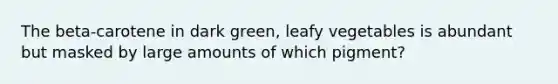 The beta-carotene in dark green, leafy vegetables is abundant but masked by large amounts of which pigment?