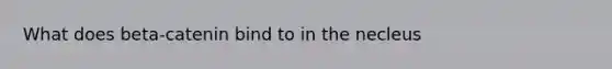 What does beta-catenin bind to in the necleus