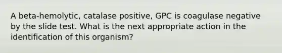 A beta-hemolytic, catalase positive, GPC is coagulase negative by the slide test. What is the next appropriate action in the identification of this organism?