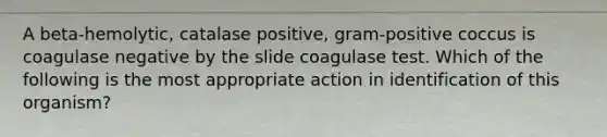 A beta-hemolytic, catalase positive, gram-positive coccus is coagulase negative by the slide coagulase test. Which of the following is the most appropriate action in identification of this organism?