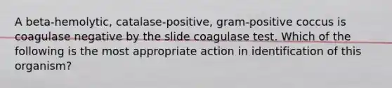 A beta-hemolytic, catalase-positive, gram-positive coccus is coagulase negative by the slide coagulase test. Which of the following is the most appropriate action in identification of this organism?