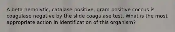 A beta-hemolytic, catalase-positive, gram-positive coccus is coagulase negative by the slide coagulase test. What is the most appropriate action in identification of this organism?