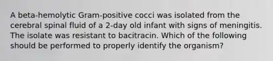 A beta-hemolytic Gram-positive cocci was isolated from the cerebral spinal fluid of a 2-day old infant with signs of meningitis. The isolate was resistant to bacitracin. Which of the following should be performed to properly identify the organism?