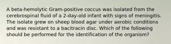 A beta-hemolytic Gram-positive coccus was isolated from the cerebrospinal fluid of a 2-day-old infant with signs of meningitis. The isolate grew on sheep blood agar under aerobic conditions and was resistant to a bacitracin disc. Which of the following should be performed for the identification of the organism?