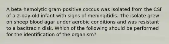 A beta-hemolytic gram-positive coccus was isolated from the CSF of a 2-day-old infant with signs of meningitidis. The isolate grew on sheep blood agar under aerobic conditions and was resistant to a bacitracin disk. Which of the following should be performed for the identification of the organism?