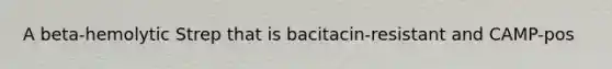 A beta-hemolytic Strep that is bacitacin-resistant and CAMP-pos