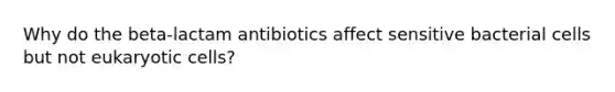 Why do the beta-lactam antibiotics affect sensitive bacterial cells but not eukaryotic cells?