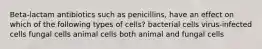 Beta-lactam antibiotics such as penicillins, have an effect on which of the following types of cells? bacterial cells virus-infected cells fungal cells animal cells both animal and fungal cells