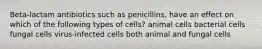 Beta-lactam antibiotics such as penicillins, have an effect on which of the following types of cells? animal cells bacterial cells fungal cells virus-infected cells both animal and fungal cells