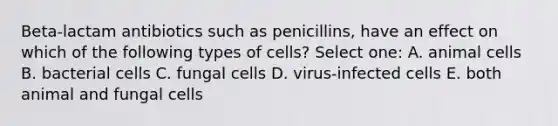 Beta-lactam antibiotics such as penicillins, have an effect on which of the following types of cells? Select one: A. animal cells B. bacterial cells C. fungal cells D. virus-infected cells E. both animal and fungal cells