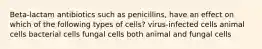 Beta-lactam antibiotics such as penicillins, have an effect on which of the following types of cells? virus-infected cells animal cells bacterial cells fungal cells both animal and fungal cells