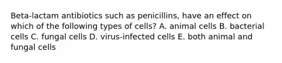 Beta-lactam antibiotics such as penicillins, have an effect on which of the following types of cells? A. animal cells B. bacterial cells C. fungal cells D. virus-infected cells E. both animal and fungal cells