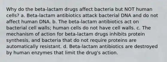 Why do the beta-lactam drugs affect bacteria but NOT human cells? a. Beta-lactam antibiotics attack bacterial DNA and do not affect human DNA. b. The beta-lactam antibiotics act on bacterial cell walls; human cells do not have cell walls. c. The mechanism of action for beta-lactam drugs inhibits protein synthesis, and bacteria that do not require proteins are automatically resistant. d. Beta-lactam antibiotics are destroyed by human enzymes that limit the drug's action.