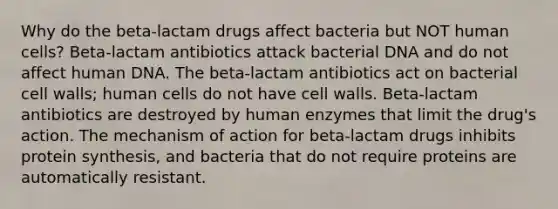 Why do the beta-lactam drugs affect bacteria but NOT human cells? Beta-lactam antibiotics attack bacterial DNA and do not affect human DNA. The beta-lactam antibiotics act on bacterial cell walls; human cells do not have cell walls. Beta-lactam antibiotics are destroyed by human enzymes that limit the drug's action. The mechanism of action for beta-lactam drugs inhibits protein synthesis, and bacteria that do not require proteins are automatically resistant.