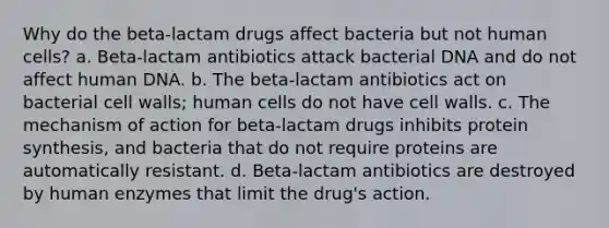 Why do the beta-lactam drugs affect bacteria but not human cells? a. Beta-lactam antibiotics attack bacterial DNA and do not affect human DNA. b. The beta-lactam antibiotics act on bacterial cell walls; human cells do not have cell walls. c. The mechanism of action for beta-lactam drugs inhibits protein synthesis, and bacteria that do not require proteins are automatically resistant. d. Beta-lactam antibiotics are destroyed by human enzymes that limit the drug's action.