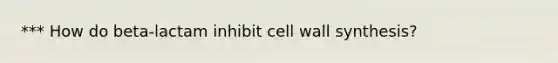 *** How do beta-lactam inhibit cell wall synthesis?