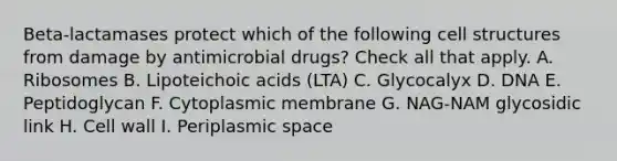 Beta-lactamases protect which of the following cell structures from damage by antimicrobial drugs? Check all that apply. A. Ribosomes B. Lipoteichoic acids (LTA) C. Glycocalyx D. DNA E. Peptidoglycan F. Cytoplasmic membrane G. NAG-NAM glycosidic link H. Cell wall I. Periplasmic space