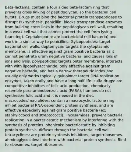 Beta-lactams: contain a four sided beta-lactam ring that prevents cross linking of peptidoglycan, so the bacterial cell bursts. Drugs must bind the bacterial protein transpeptidase to disrupt PG synthesis. penicillin: blocks transpeptidase enzymes from building cross links in the peptidoglycan cell wall, resulting in a weak cell wall that cannot protect the cell from lysing (bursting). Cephalosporin: are bactericidal (kill bacteria) and work in a similar way to penicillins. Gylcopeotides: target bacterial cell walls. daptomycin: targets the cytoplasmic membrane, is effective against gram positive bacteria as it cannot penetrate gram negative bacteria, and causes loss of ions and lysis. polypeptides: targets outer membrane, interacts with with lipopolysaccharide, only effective against gram negative bacteria, and has a narrow therapeutic index and usually only works topically. quinolone: target DNA replication enzymes, taken orally and have a long half life. sulfa drugs: are competitive inhibitors of folic acid production, chemically resemble para-aminobenzoic acid (PABA), humans do not synthesize folic acid and it is needed in the diet. macrocodes/macrolides: contain a macrocyclic lactone ring, inhibit bacterial RNA-dependent protein synthesis, and are effective especially against gram positive bacteria (ex: staphylococci and streptococci). lincosamides: prevent bacterial replication in a bacteriostatic mechanism by interfering with the synthesis of proteins. phenicols: bacteriostatic by inhibiting protein synthesis, diffuses through the bacterial cell wall. tetracyclines: are protein synthesis inhibitors, target ribosomes. ahminoglycosides: interfere with bacterial protein synthesis. Bind to ribosomes, target ribosomes.