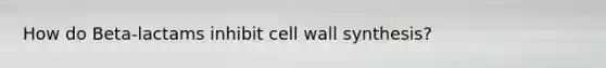 How do Beta-lactams inhibit cell wall synthesis?