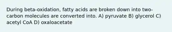 During beta-oxidation, fatty acids are broken down into two-carbon molecules are converted into. A) pyruvate B) glycerol C) acetyl CoA D) oxaloacetate