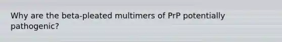 Why are the beta-pleated multimers of PrP potentially pathogenic?