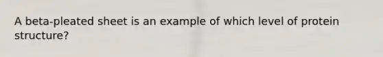 A beta-pleated sheet is an example of which level of protein structure?