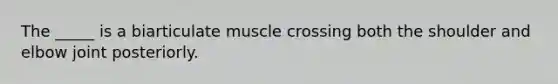 The _____ is a biarticulate muscle crossing both the shoulder and elbow joint posteriorly.