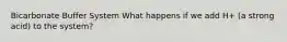 Bicarbonate Buffer System What happens if we add H+ (a strong acid) to the system?