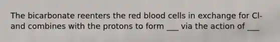 The bicarbonate reenters the red blood cells in exchange for Cl- and combines with the protons to form ___ via the action of ___