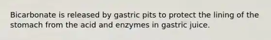 Bicarbonate is released by gastric pits to protect the lining of the stomach from the acid and enzymes in gastric juice.