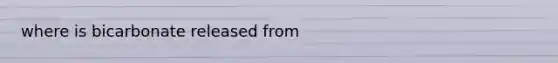 where is bicarbonate released from
