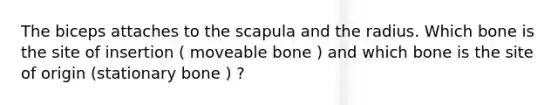 The biceps attaches to the scapula and the radius. Which bone is the site of insertion ( moveable bone ) and which bone is the site of origin (stationary bone ) ?