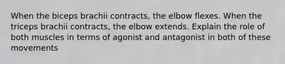 When the biceps brachii contracts, the elbow flexes. When the triceps brachii contracts, the elbow extends. Explain the role of both muscles in terms of agonist and antagonist in both of these movements