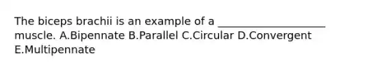 The biceps brachii is an example of a ____________________ muscle. A.Bipennate B.Parallel C.Circular D.Convergent E.Multipennate