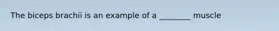 The biceps brachii is an example of a ________ muscle