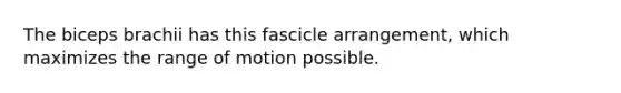 The biceps brachii has this fascicle arrangement, which maximizes the range of motion possible.