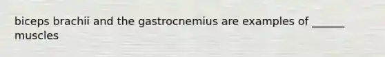 biceps brachii and the gastrocnemius are examples of ______ muscles