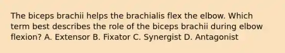 The biceps brachii helps the brachialis flex the elbow. Which term best describes the role of the biceps brachii during elbow flexion? A. Extensor B. Fixator C. Synergist D. Antagonist