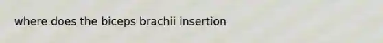 where does the biceps brachii insertion