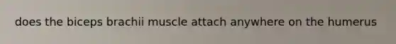 does the biceps brachii muscle attach anywhere on the humerus