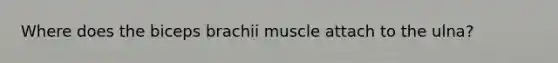 Where does the biceps brachii muscle attach to the ulna?