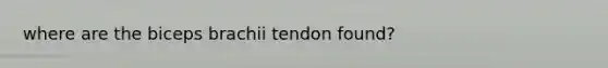 where are the biceps brachii tendon found?