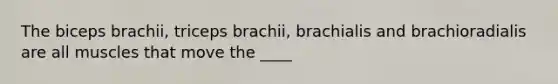 The biceps brachii, triceps brachii, brachialis and brachioradialis are all muscles that move the ____