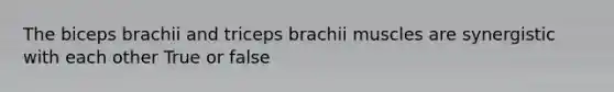 The biceps brachii and triceps brachii muscles are synergistic with each other True or false