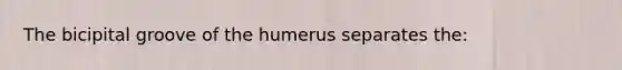 The bicipital groove of the humerus separates the: