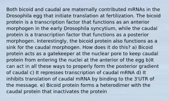 Both bicoid and caudal are maternally contributed mRNAs in the Drosophila egg that initiate translation at fertilization. The bicoid protein is a transcription factor that functions as an anterior morphogen in the early Drosophila syncytium, while the caudal protein is a transcription factor that functions as a posterior morphogen. Interestingly, the bicoid protein also functions as a sink for the caudal morphogen. How does it do this? a) Bicoid protein acts as a gatekeeper at the nuclear pore to keep caudal protein from entering the nuclei at the anterior of the egg b)It can act in all these ways to properly form the posterior gradient of caudal c) It represses transcription of caudal mRNA d) It inhibits translation of caudal mRNA by binding to the 3'UTR of the message. e) Bicoid protein forms a heterodimer with the caudal protein that inactivates the protein