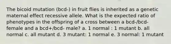 The bicoid mutation (bcd-) in fruit flies is inherited as a genetic maternal effect recessive allele. What is the expected ratio of phenotypes in the offspring of a cross between a bcd-/bcd- female and a bcd+/bcd- male? a. 1 normal : 1 mutant b. all normal c. all mutant d. 3 mutant: 1 normal e. 3 normal: 1 mutant