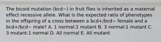 The bicoid mutation (bcd−) in fruit flies is inherited as a maternal effect recessive allele. What is the expected ratio of phenotypes in the offspring of a cross between a bcd+/bcd− female and a bcd+/bcd− male? A. 1 normal:1 mutant B. 3 normal:1 mutant C. 3 mutant:1 normal D. All normal E. All mutant